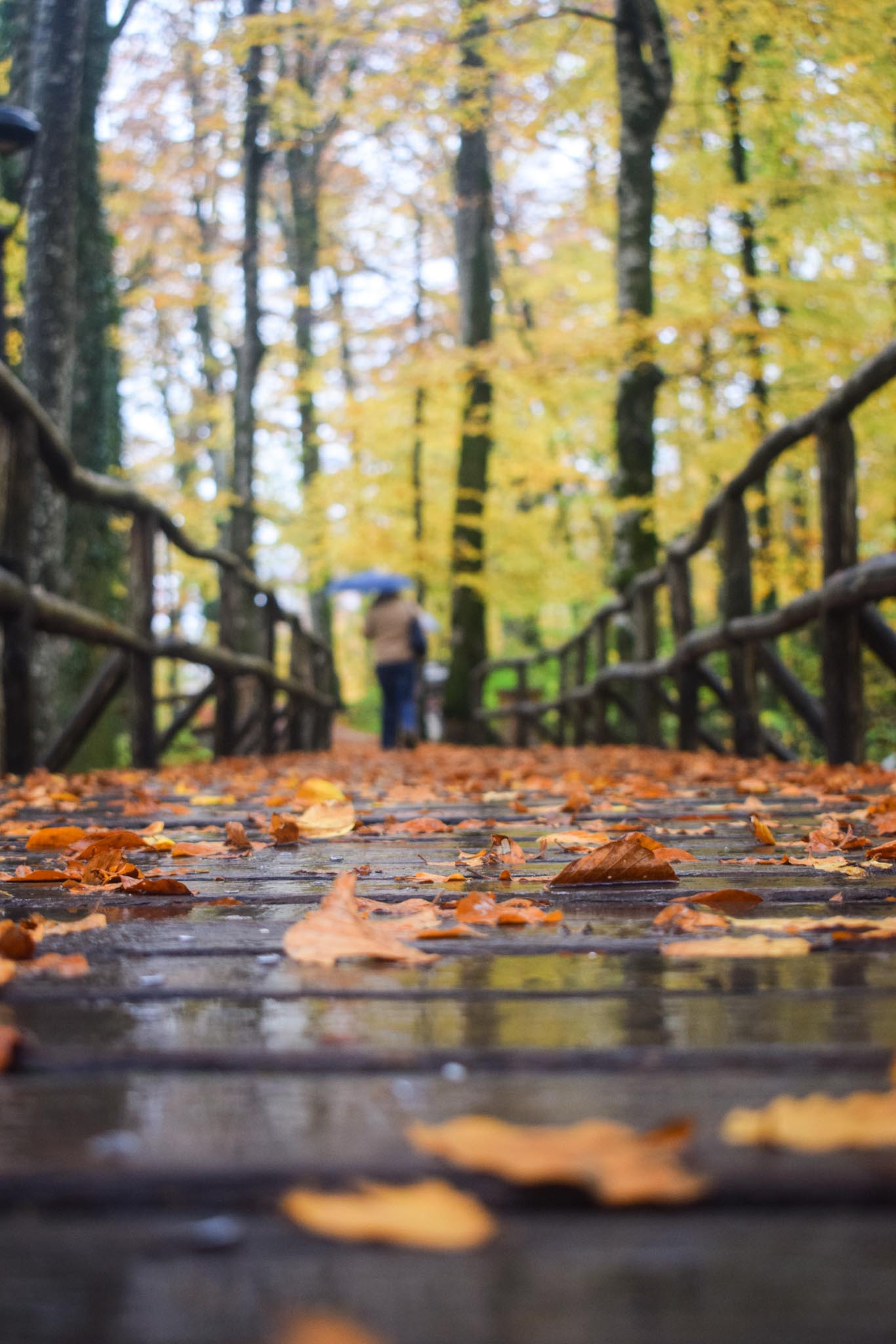 Autumn landscape photography at Plitvice Lakes National Park, Croatia - fall colors and waterfalls